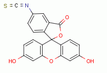 Fluorescein