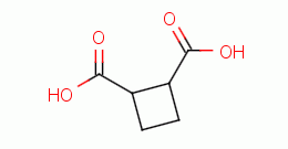 cyclobutane-1,2-dicarboxylic