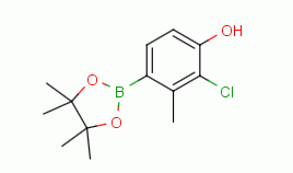 2-chloro-3-methyl-4-(4,4,5,5-tetramethyl-1,3,2-dioxaborolan-2-yl)phenol