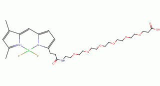 BODIPY