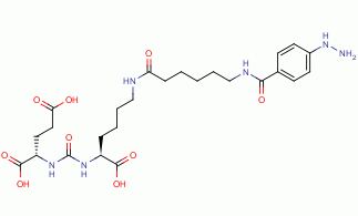 HYNIC-PSMA(inhibitor)