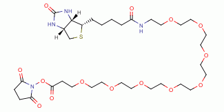 Biotin-PEG8-NHS