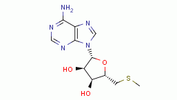 5'-Methylthioadenosine
