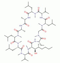 Dihydrocyclosporine